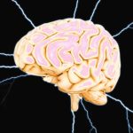 Apa Saja yang Bisa Merusak Otak Memahami Ancaman dan Pencegahannya